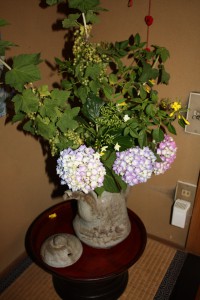 2011 6月 002