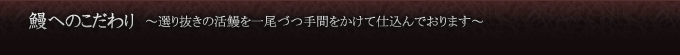 鰻へのこだわり　〜選り抜きの活鰻を一尾づつ手間をかけて仕込んでおります〜